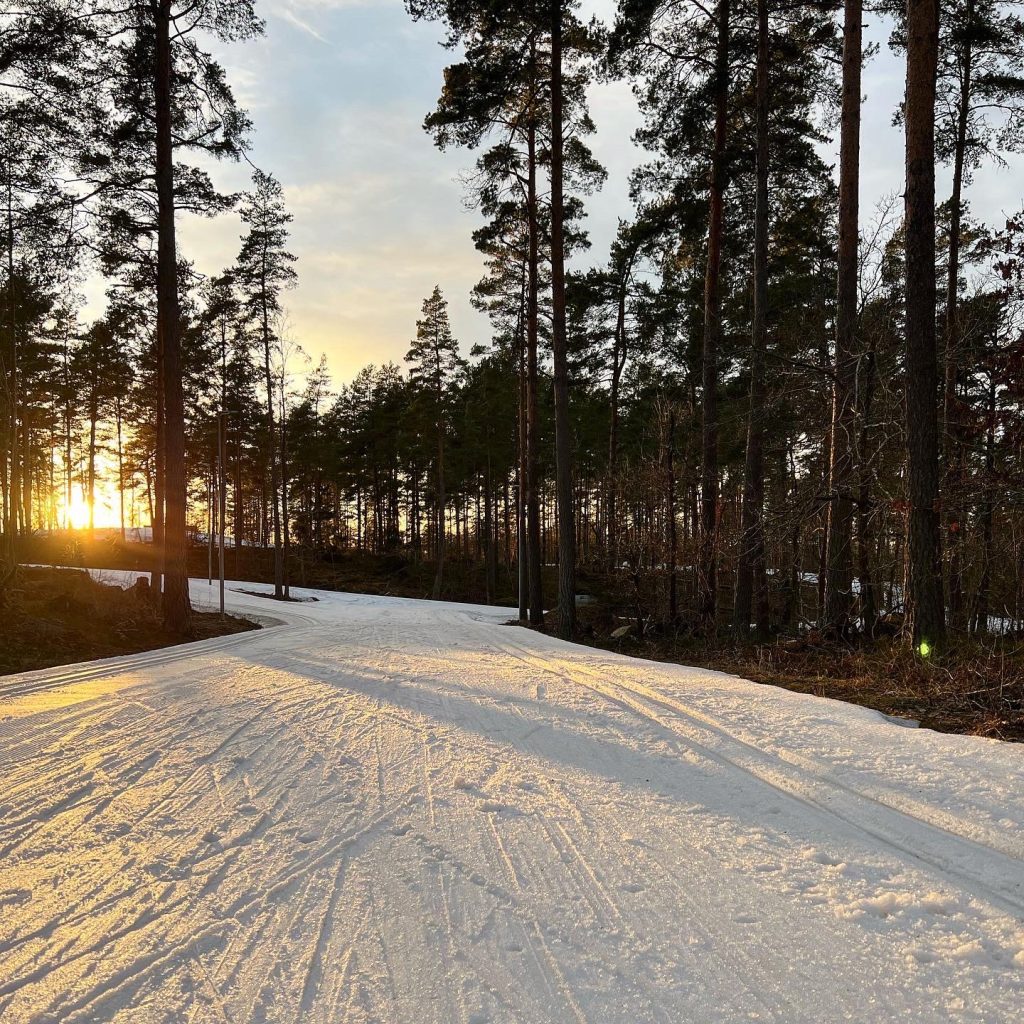 Solnedgång
