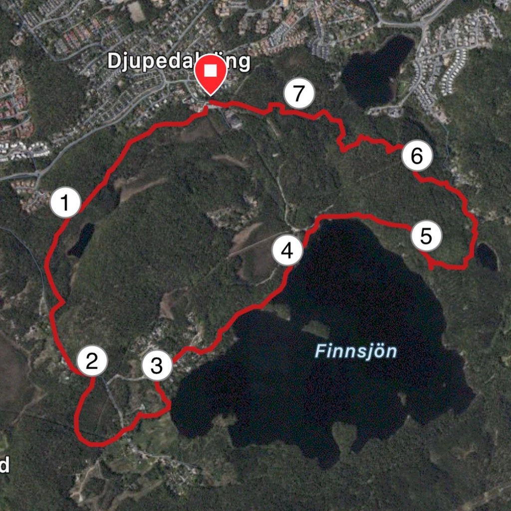 Systerlöpning vid Finnsjön