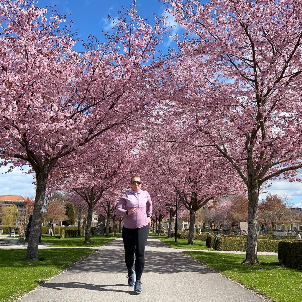 Vårlöpning i körsbärsallé