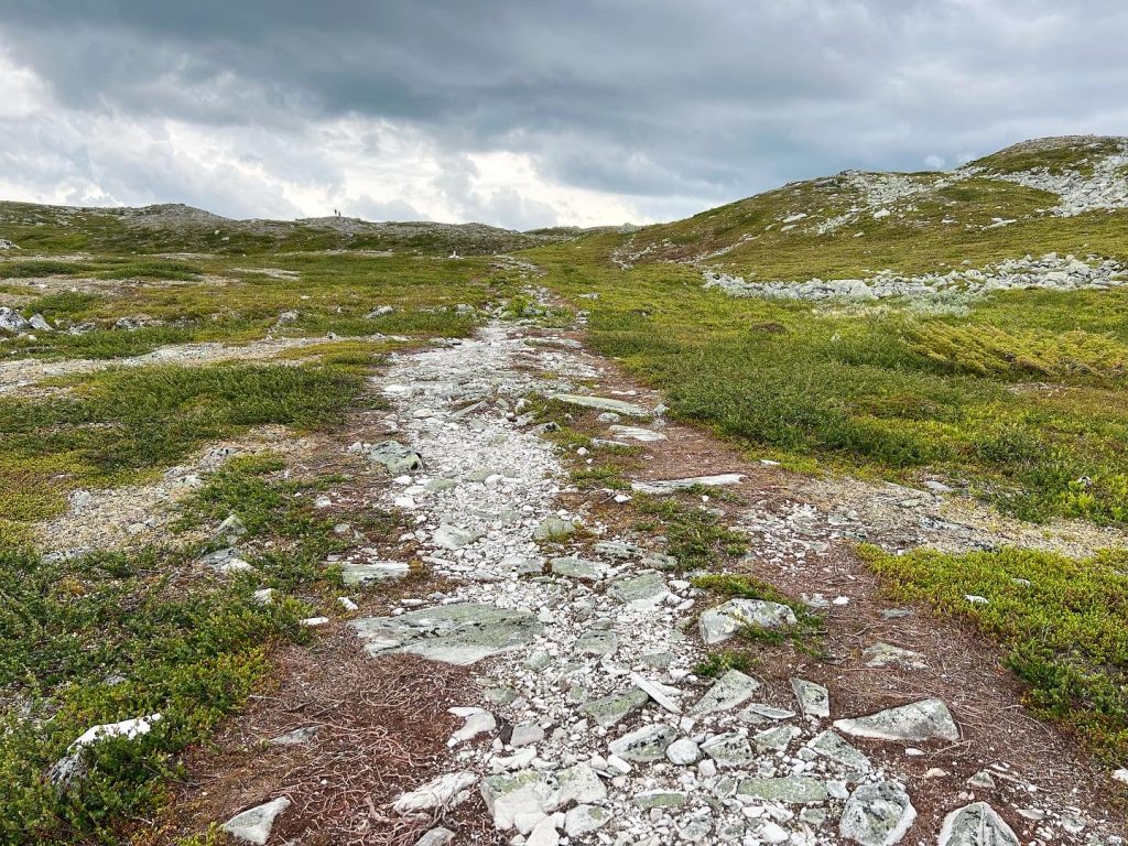 0E08A460-8787-4904-9726-B6DEF51B7EA9-1024x768 - Svansjön - Svansjökläppen 1125 möh - Bolagen