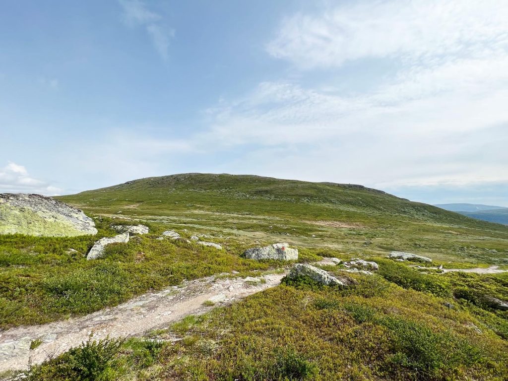 Svansjökläppen från sidan