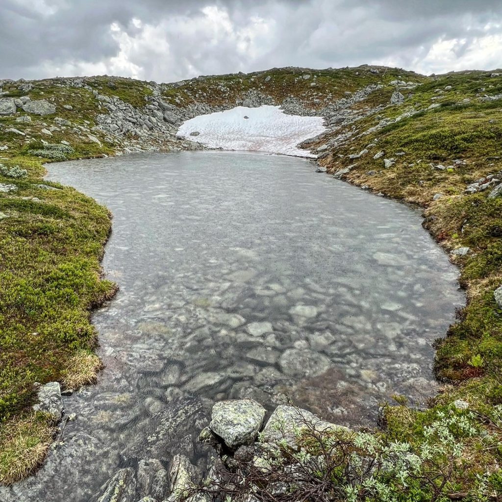 6B511136-FC29-4D09-8CC8-AFFC77116AAE-1024x1024 - Svansjön - Svansjökläppen 1125 möh - Bolagen