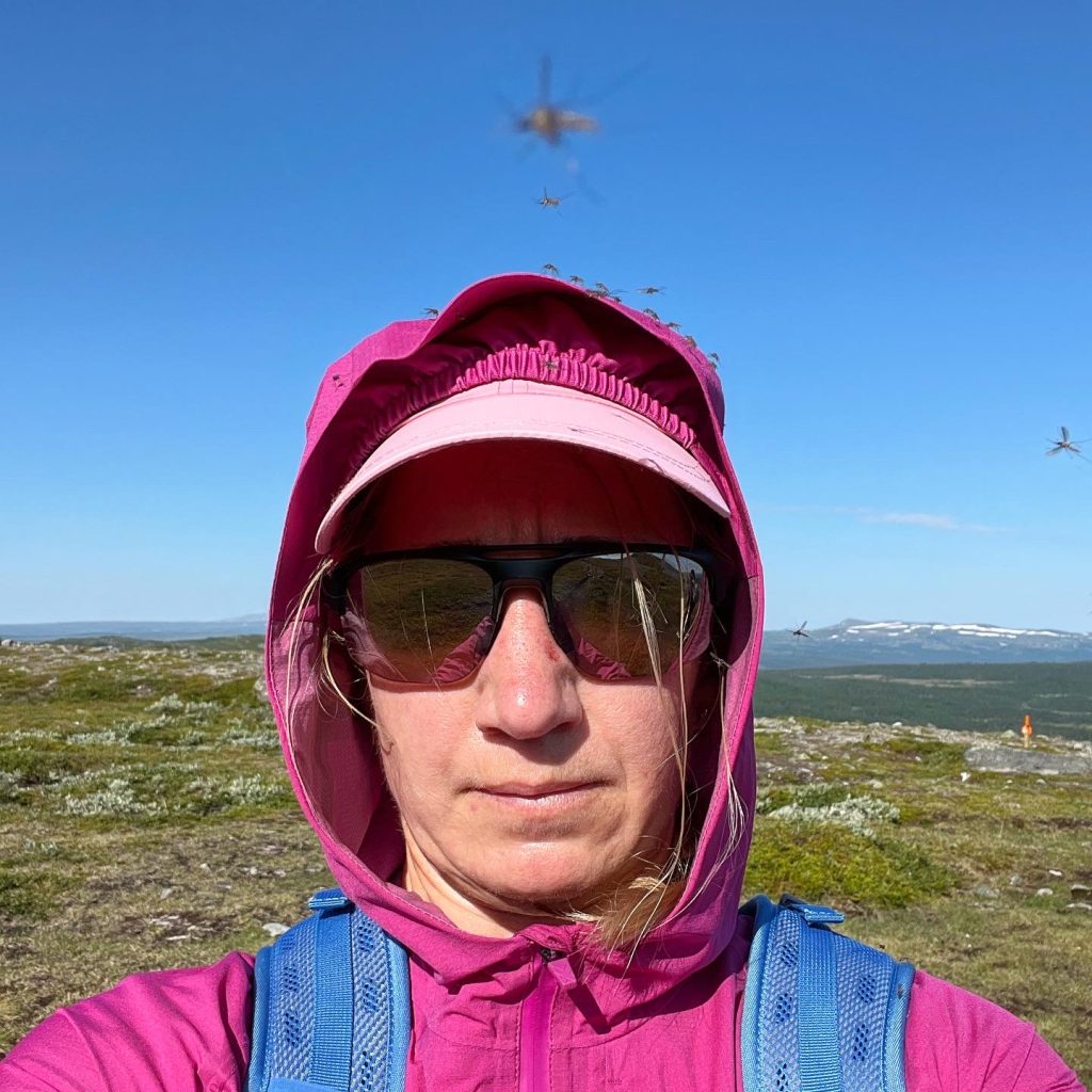 Myggdjälvar
