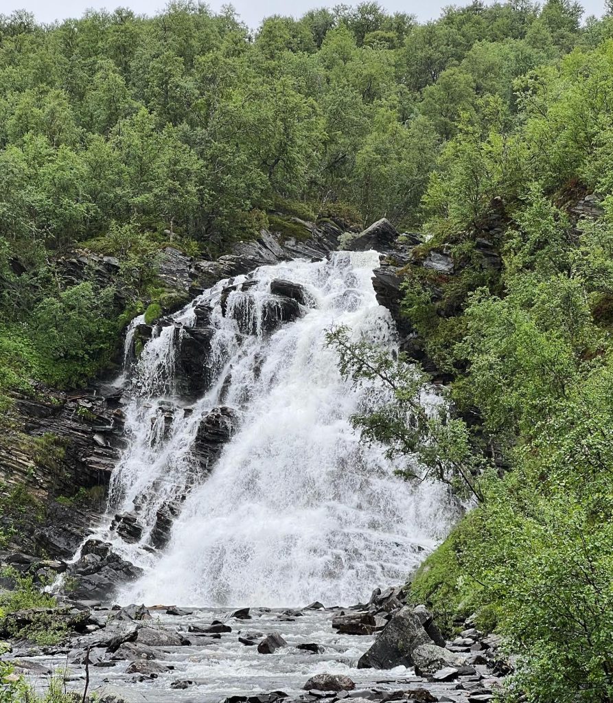 Anderssjöåfallet 