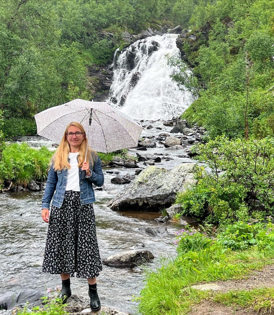 Anderssjöåfallet 