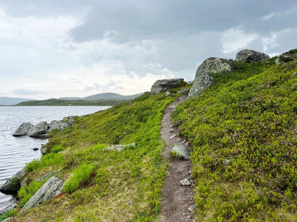 CB65F948-5589-4E2A-B7F2-5ACFA286D6BE-1024x768 - Svansjön - Svansjökläppen 1125 möh - Bolagen