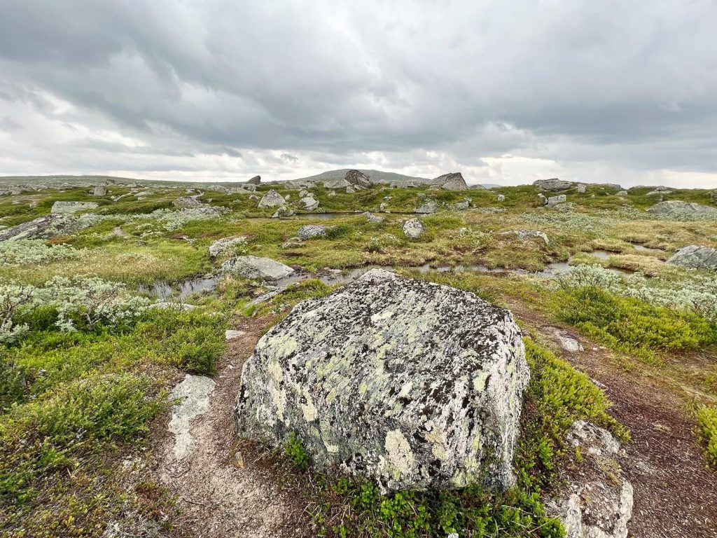 DE9B02B8-BAFB-4C0D-9C0C-969EE8A1B0D5-1024x768 - Svansjön - Svansjökläppen 1125 möh - Bolagen