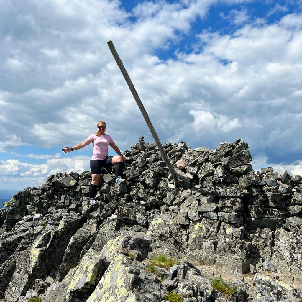 Ånnfjällets topp