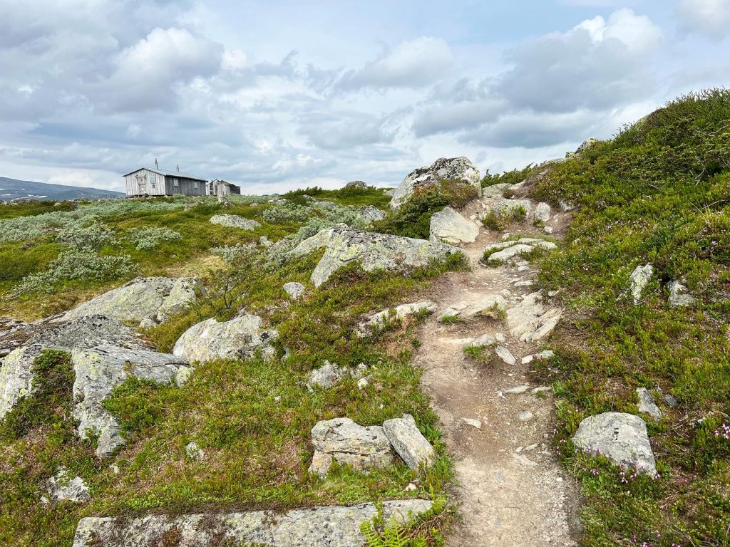 FBBA5FB0-A8C2-4757-B14C-3214BC5BE254-1024x768 - Svansjön - Svansjökläppen 1125 möh - Bolagen