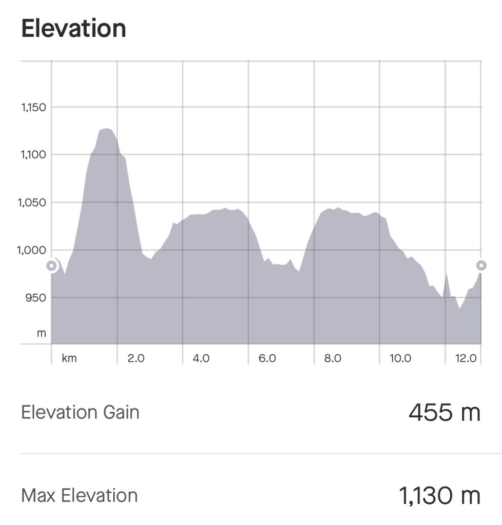 IMG_0128-979x1024 - Svansjön - Svansjökläppen 1125 möh - Bolagen