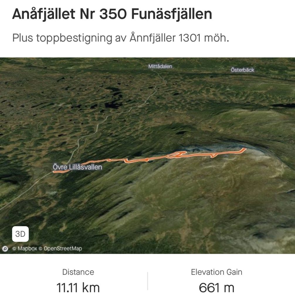 IMG_8730-1006x1024 - Anåfjället och Ånnfjällstoppen