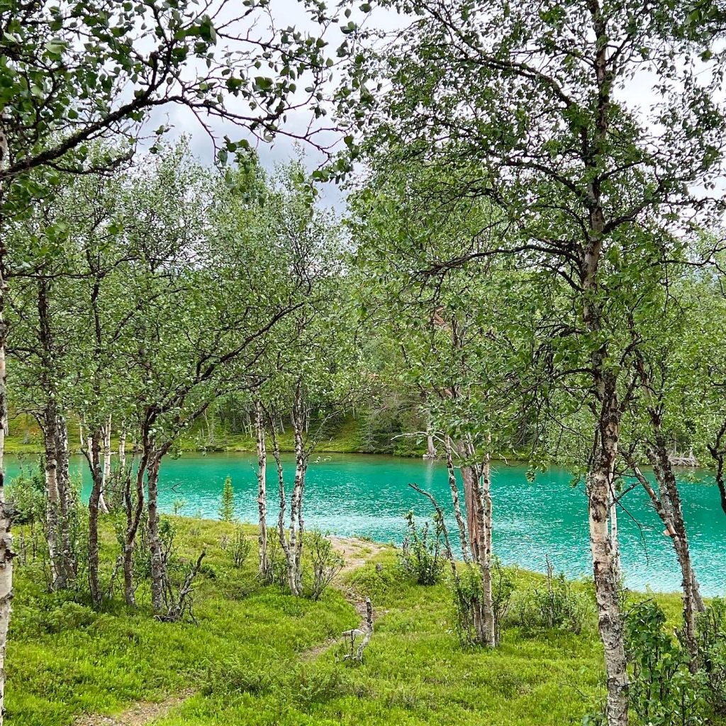 Blanktjärn