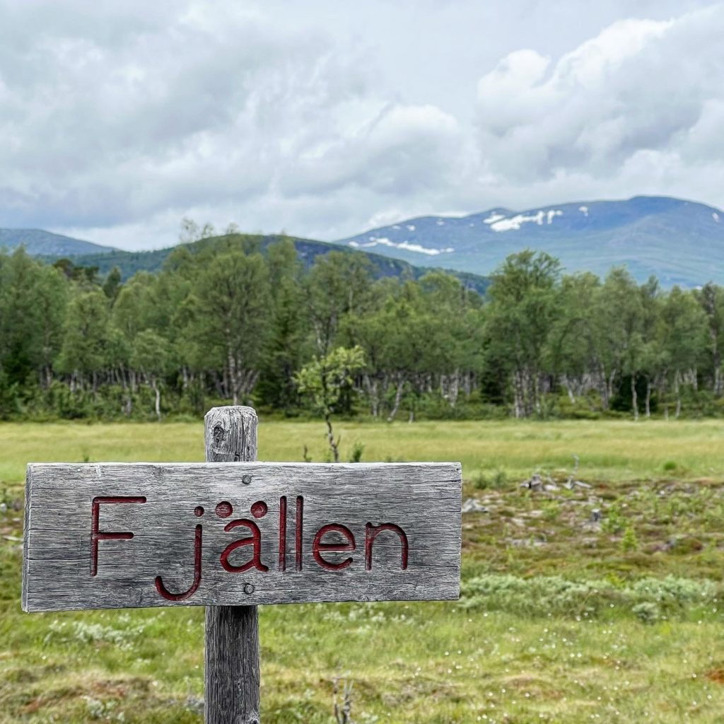 0C44ED5C-AAC1-4362-8E91-0A836EED5191-1024x1024 - BLanktjärnsrundan - Vålådalen