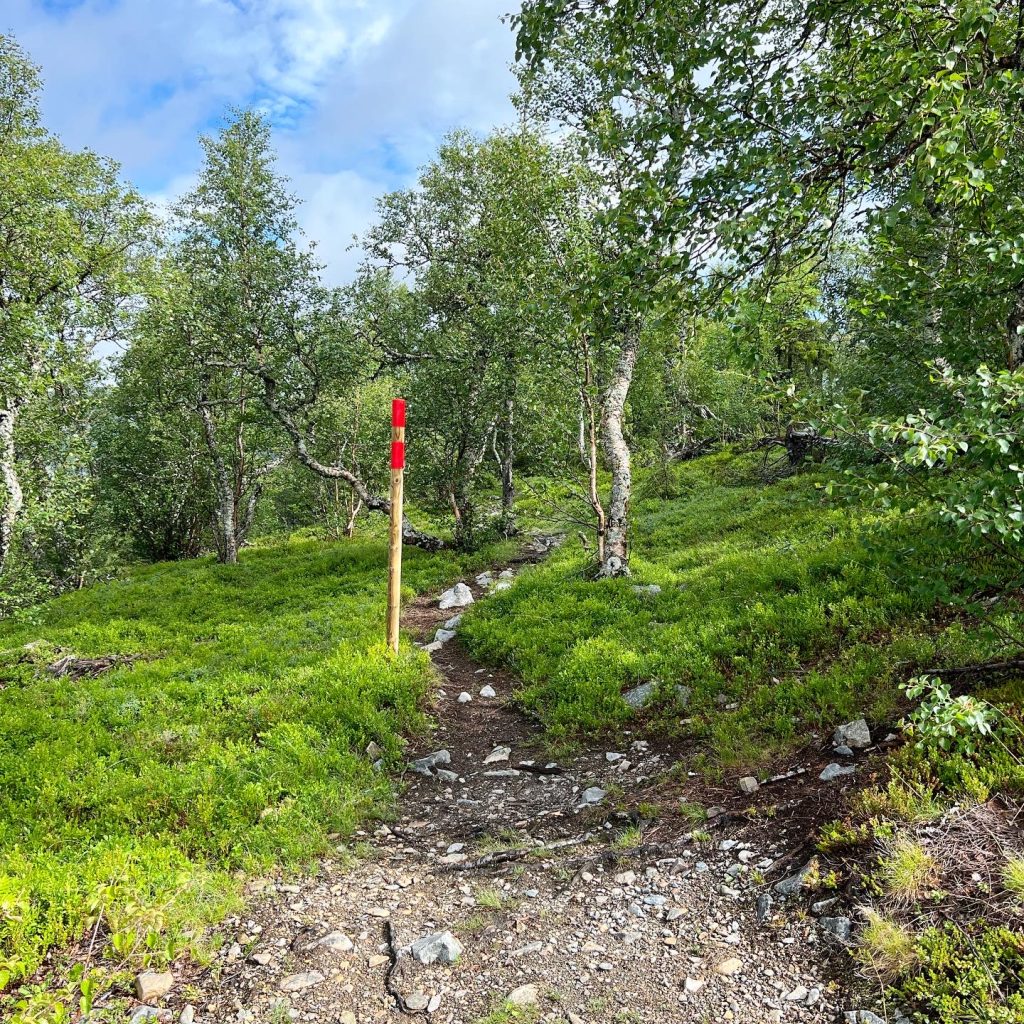 20EADF73-B78B-449F-AEFE-34CBF284F668-1024x1024 - Dromskåran och Drommens topp