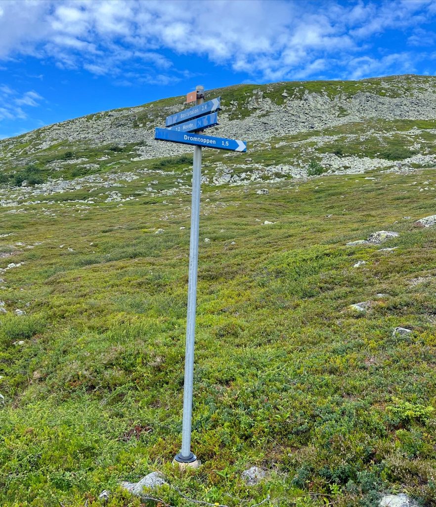 2C2905FC-2354-4B4D-A6C5-DAE0BA134B1C-882x1024 - Dromskåran och Drommens topp
