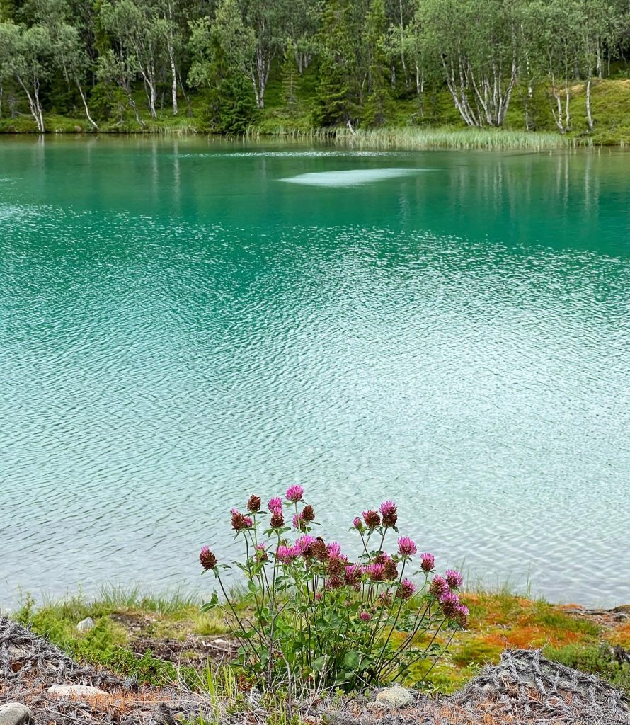 Blanktjärn