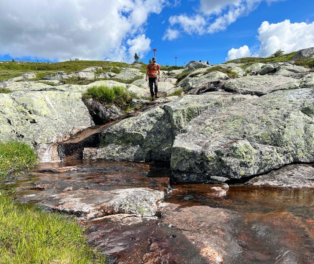 4691B3BB-98D1-4A7E-B072-AC32CFA50905-1024x860 - Toppbestigning av Mullfjället