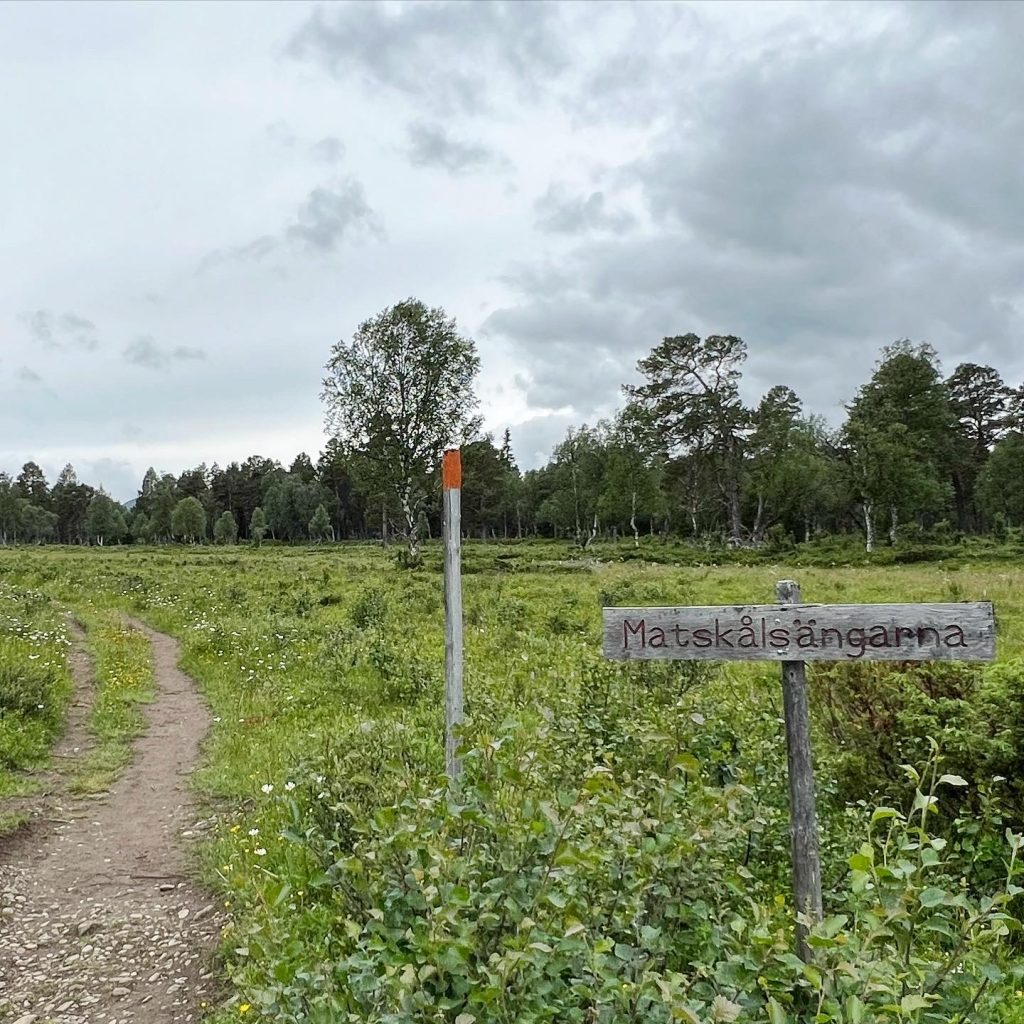 Matskålsängarna