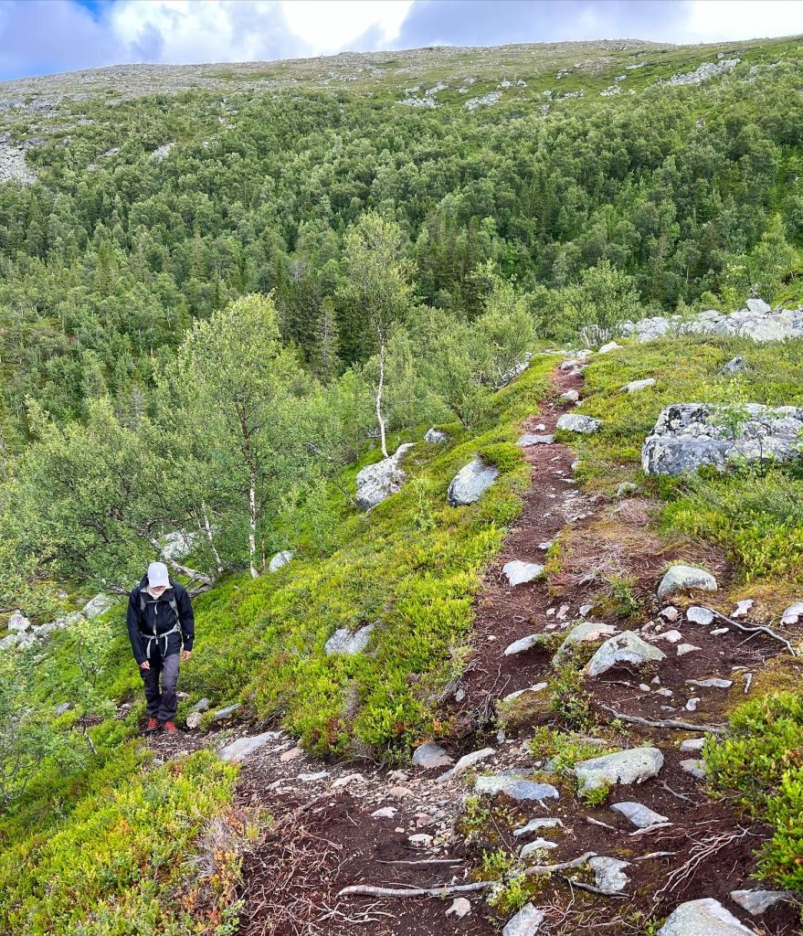 63B56BE1-4129-4D00-8F08-ECD7830E851B-879x1024 - Dromskåran och Drommens topp