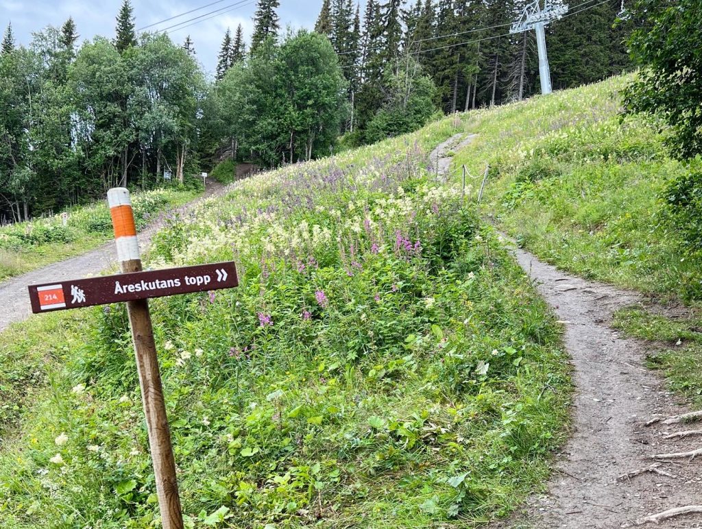 712A5486-A0A4-4E82-9CC7-619BC188C11A-1024x772 - Toppbestigning av Åreskutan 1420 möh