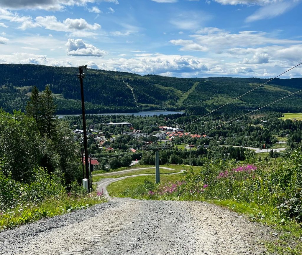 77E7B58A-2525-46A2-8A4D-17D6F92FA33C-1024x866 - Toppbestigning av Mullfjället