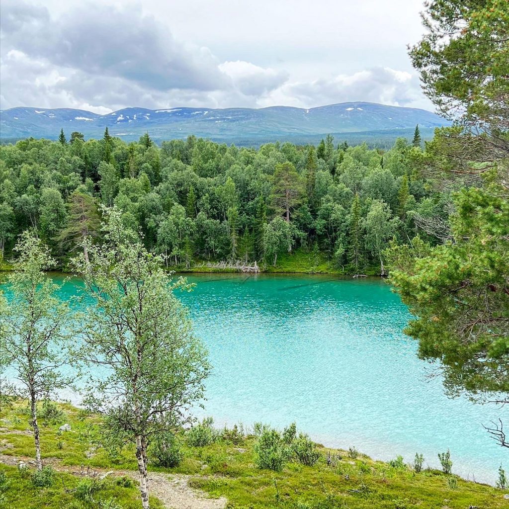 Blanktjärn