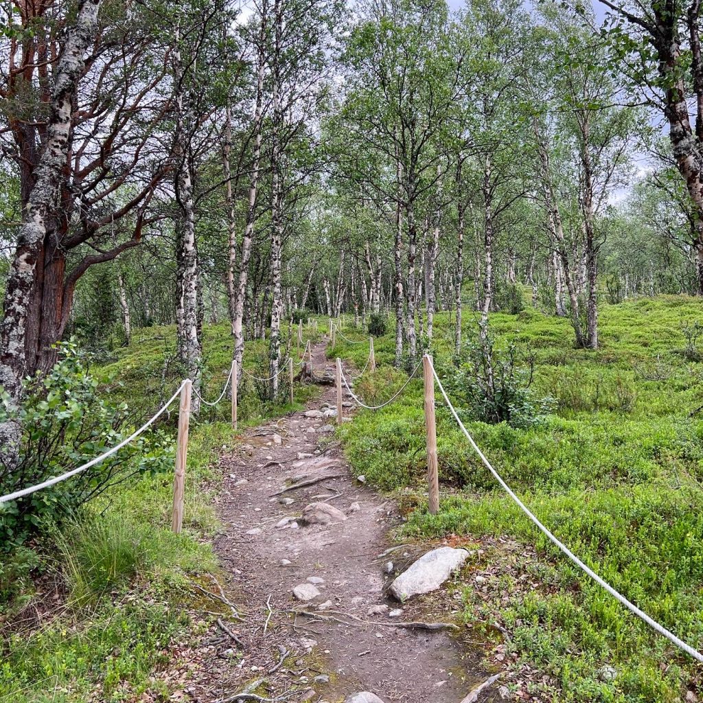 7C9DE38F-3FCD-4C64-8680-8C090D5BA06E-1024x1024 - BLanktjärnsrundan - Vålådalen