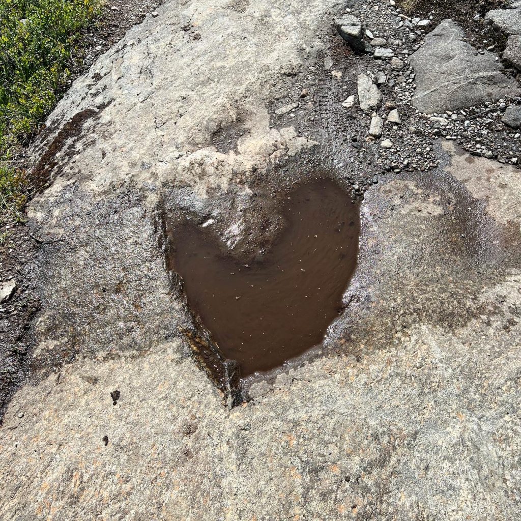 Naturhjärta
