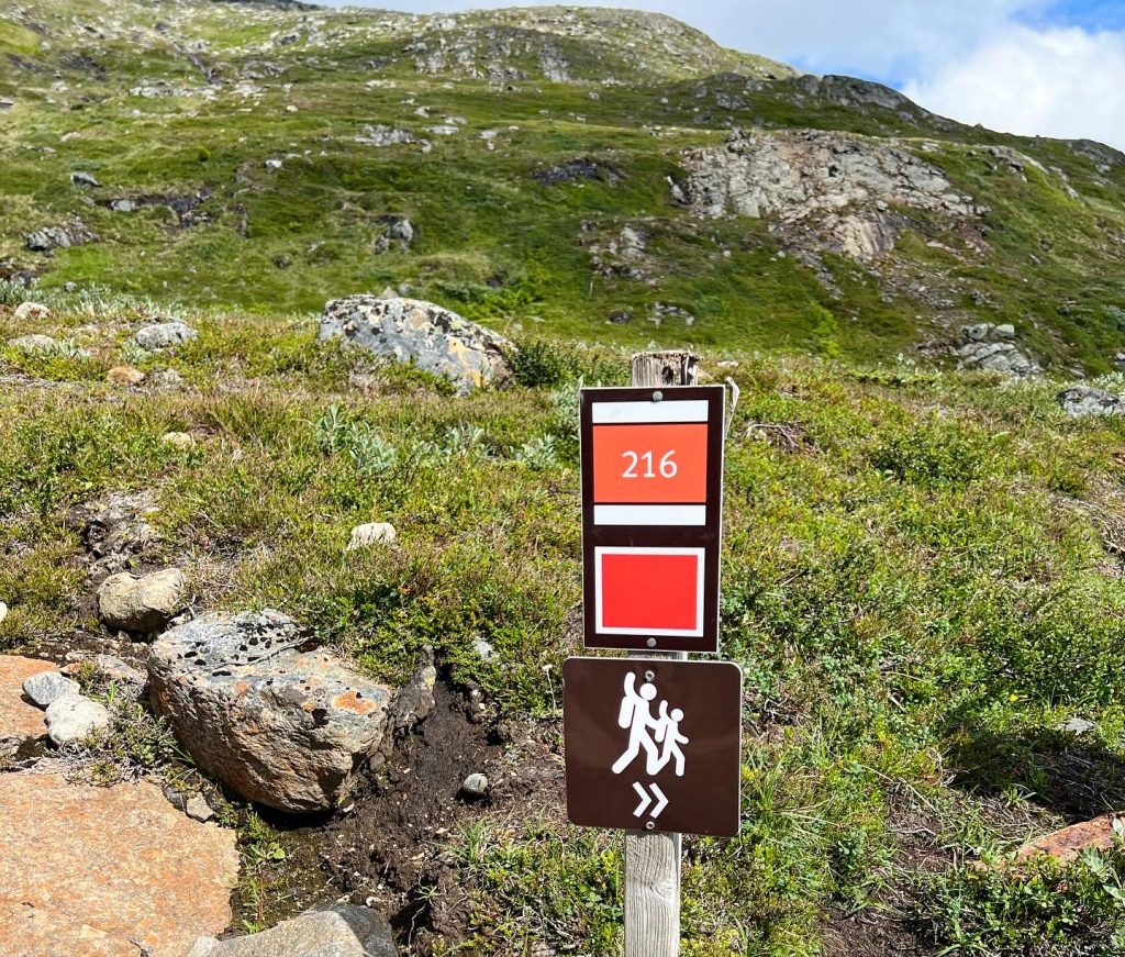 89468C1D-1DD1-490F-819F-A7010FB2439B-1024x871 - Toppbestigning av Åreskutan 1420 möh