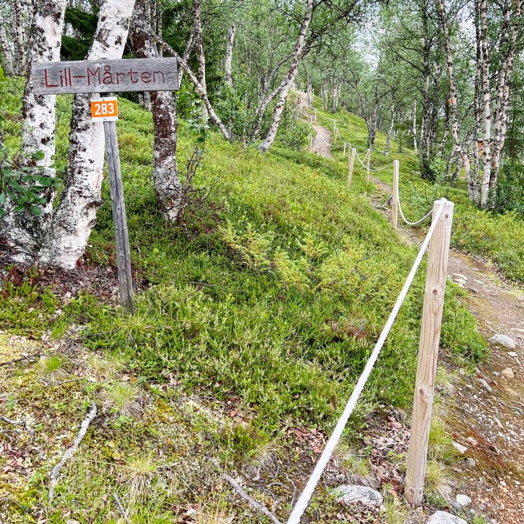 8970D1DB-B0F4-4561-AAB6-1770918B000A-1024x1024 - BLanktjärnsrundan - Vålådalen