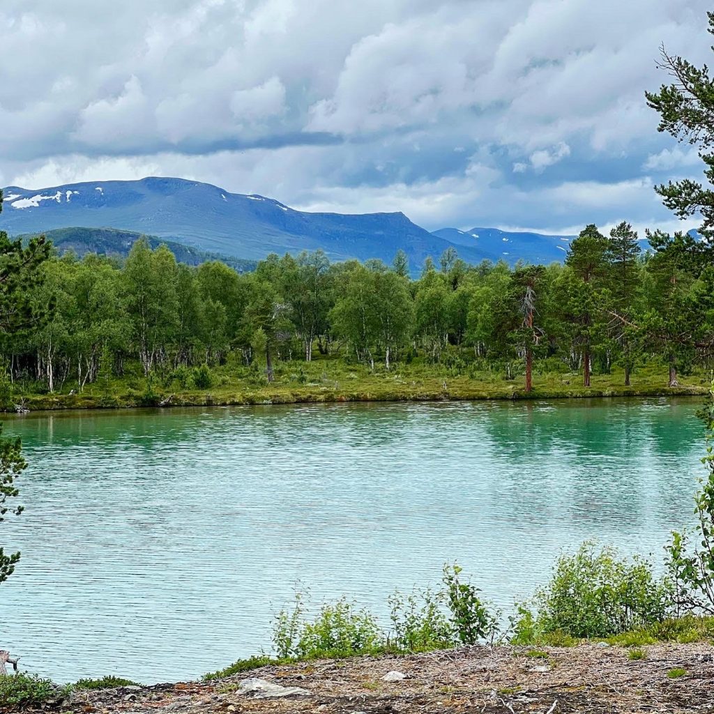 Blanktjärn