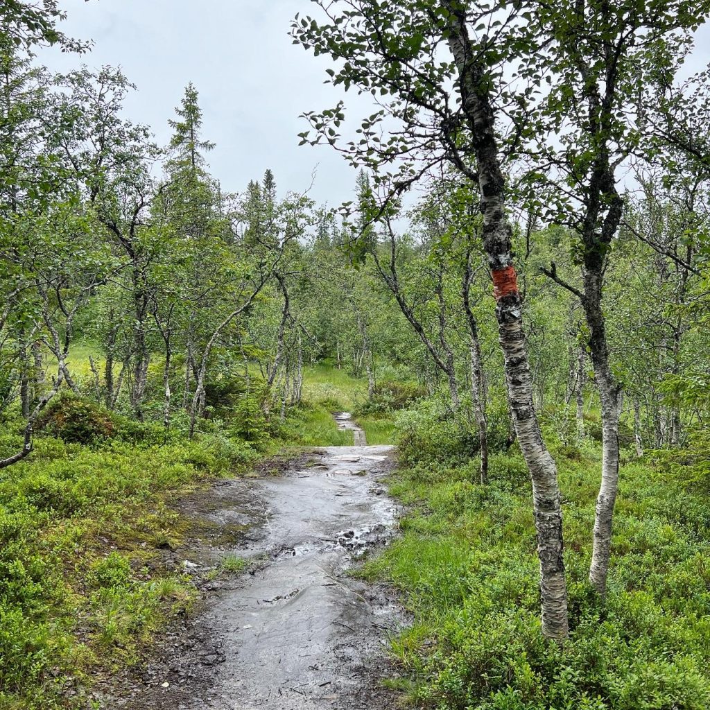 8EC4EFEA-646E-4404-BDA0-9E581B0BB566-1024x1024 - Byxtjärn och Lillådammen