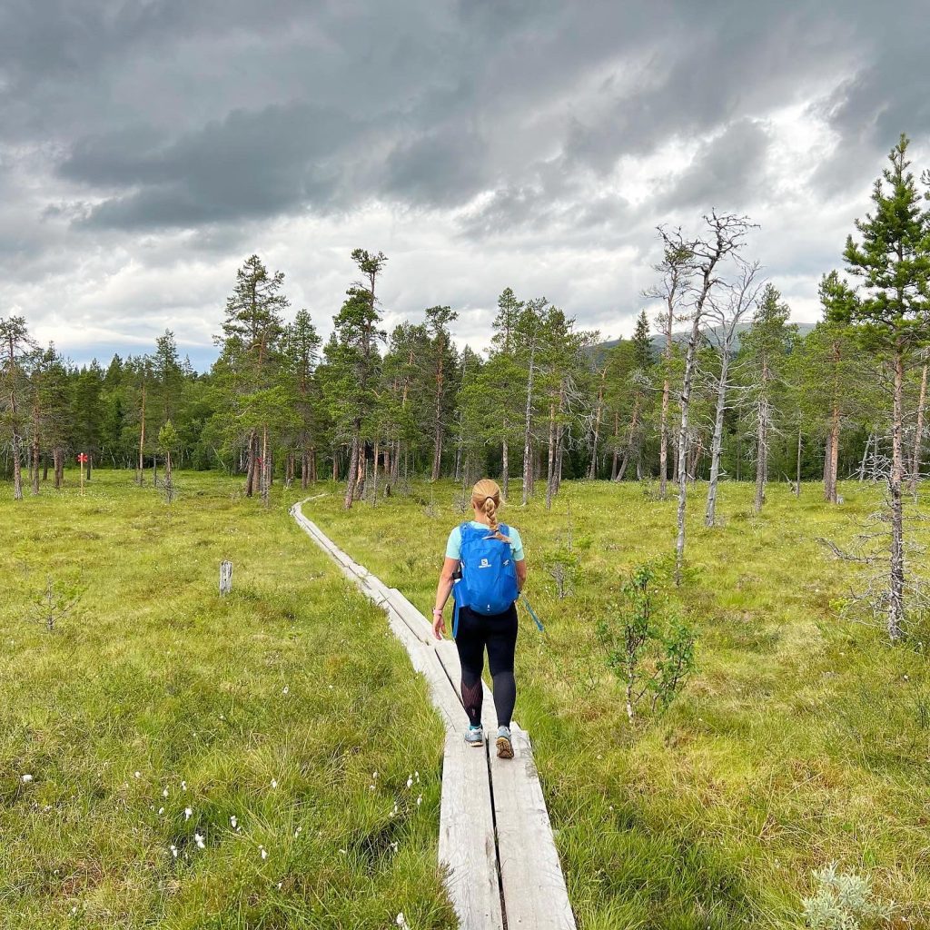 Fjällvandring