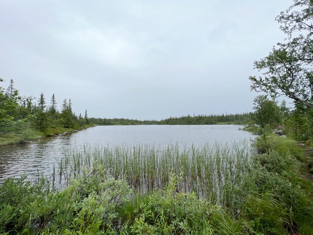 Byxtjärn