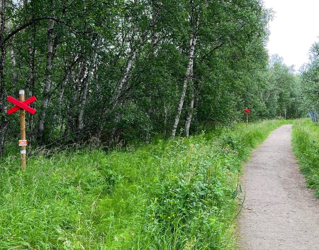 BA00AFD0-5BCB-44A9-A073-897858EF49D5-1024x803 - BLanktjärnsrundan - Vålådalen