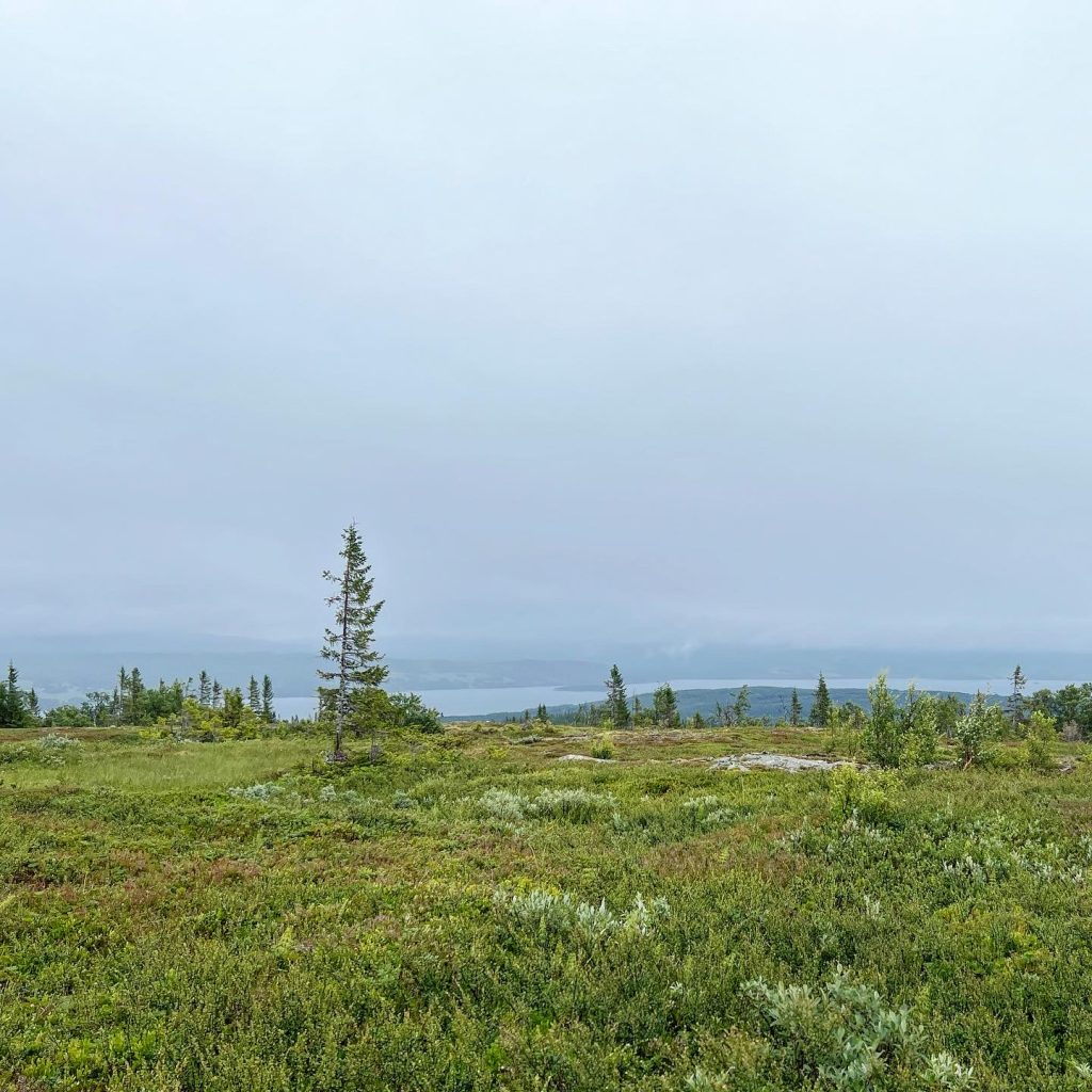 kallsjön