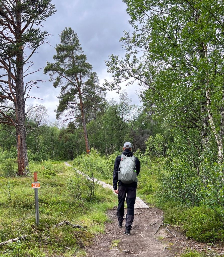 Fjällvandring