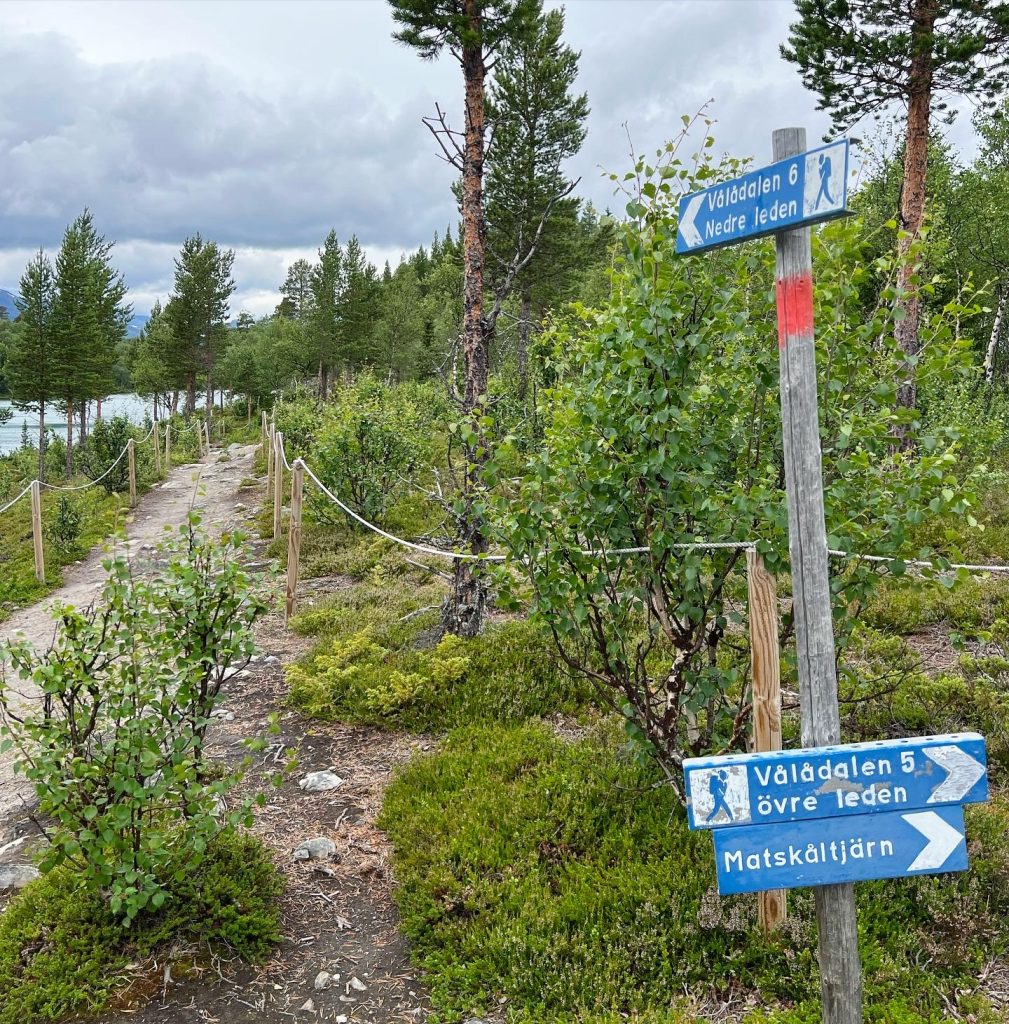 C6B15183-2DF2-4B1A-B04E-FE622593321F-1009x1024 - BLanktjärnsrundan - Vålådalen