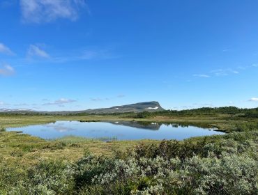 Mittåkläppen