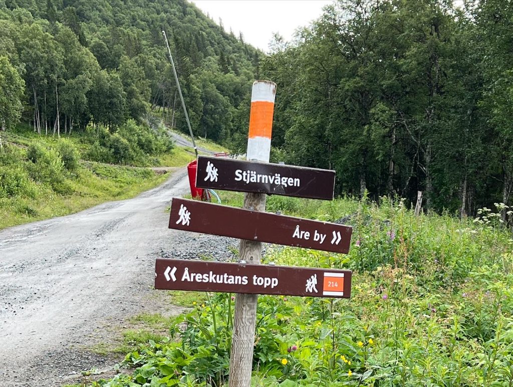 D818836E-D6B4-4B01-8A9D-3D5089D3AC2F-1024x772 - Toppbestigning av Åreskutan 1420 möh