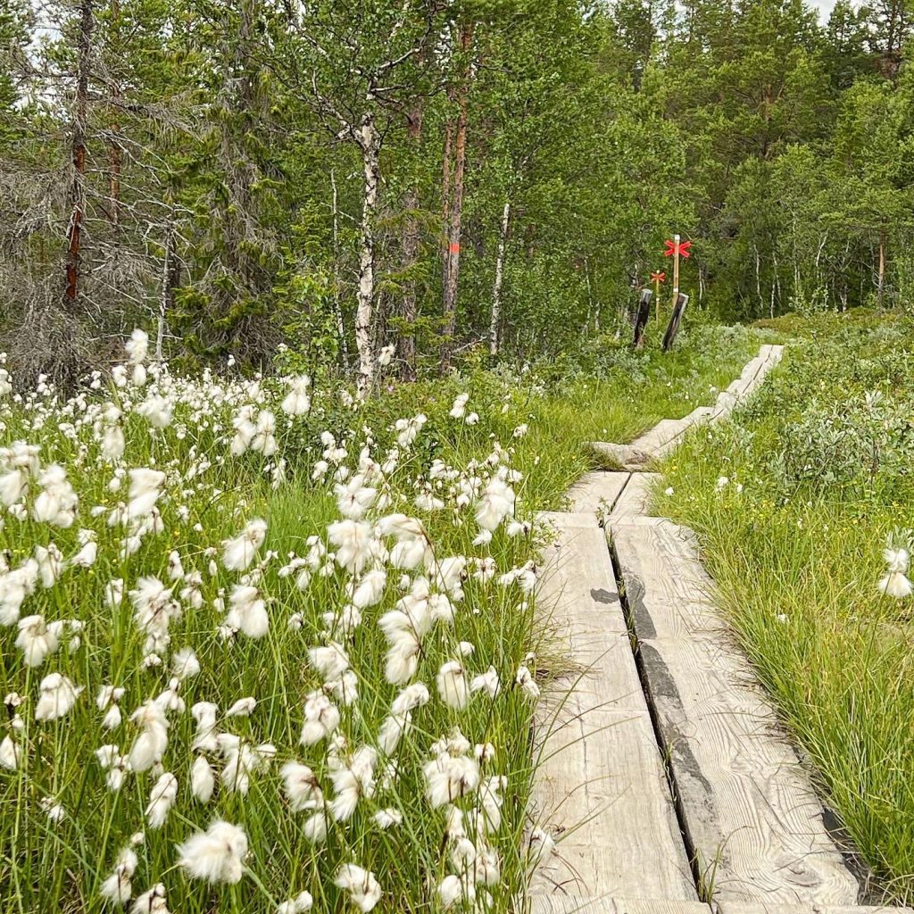 Spänger