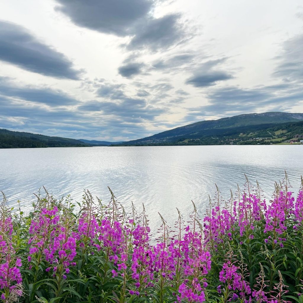 Åresjön