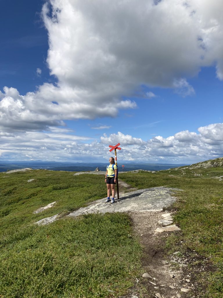 IMG_0270-768x1024 - Toppbestigning av Mullfjället