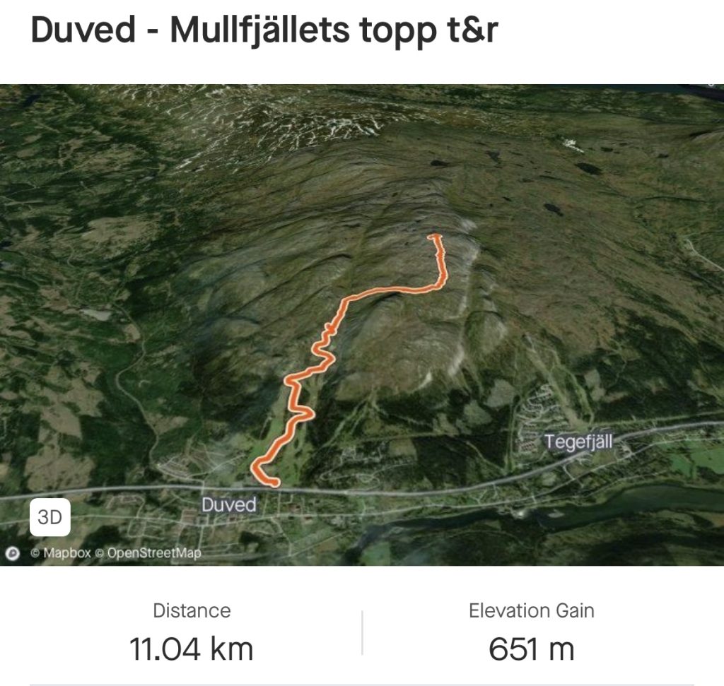 IMG_2628-1024x971 - Toppbestigning av Mullfjället