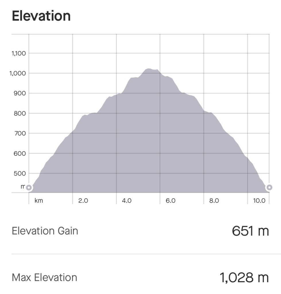 IMG_2629-979x1024 - Toppbestigning av Mullfjället
