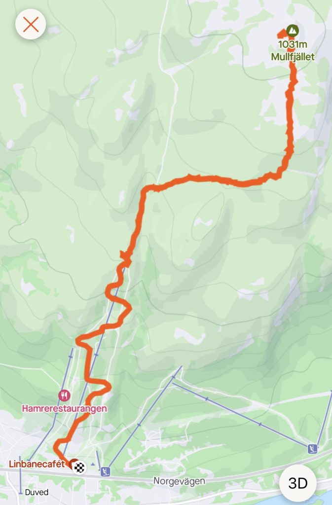 IMG_2631-673x1024 - Toppbestigning av Mullfjället