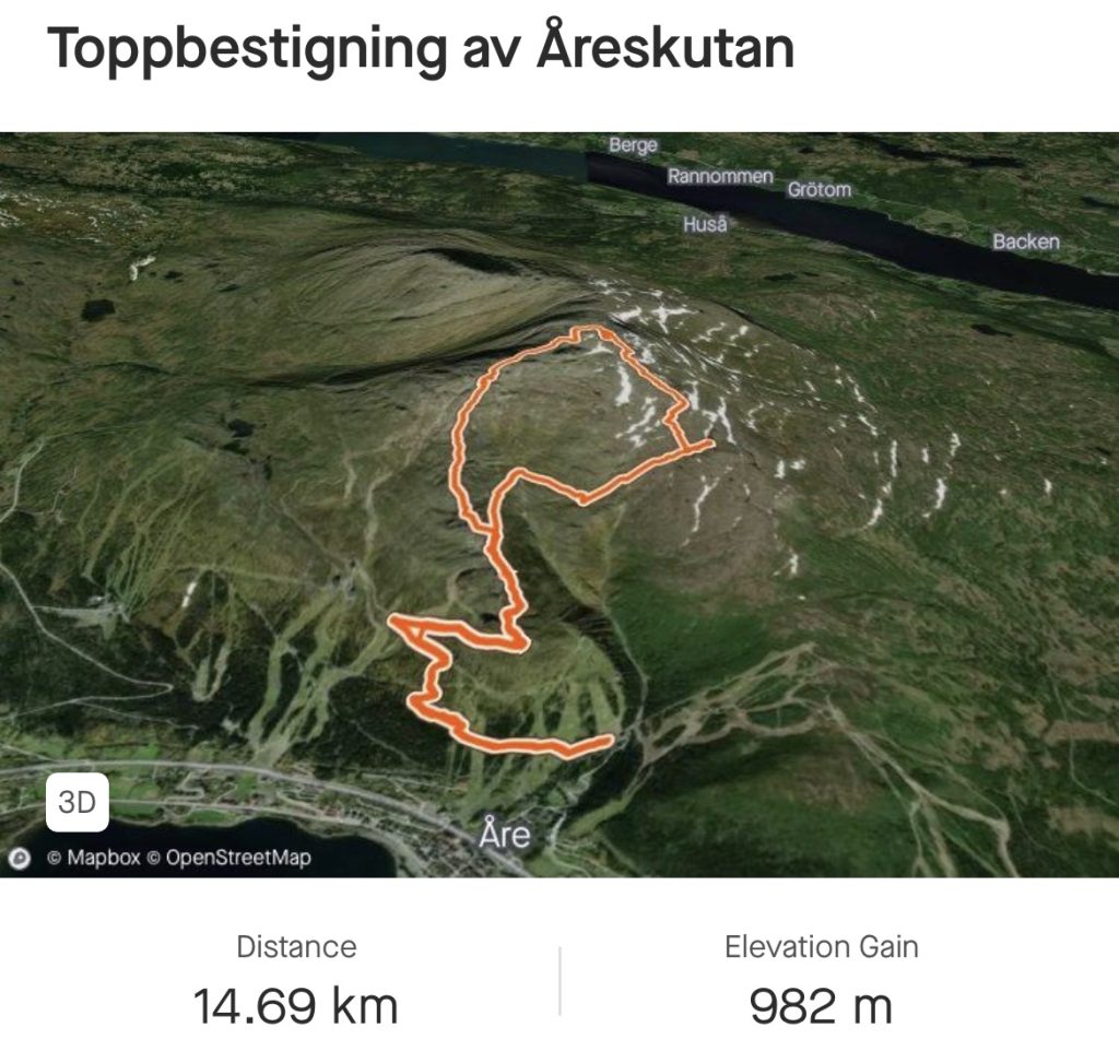 IMG_3762-1024x962 - Toppbestigning av Åreskutan 1420 möh