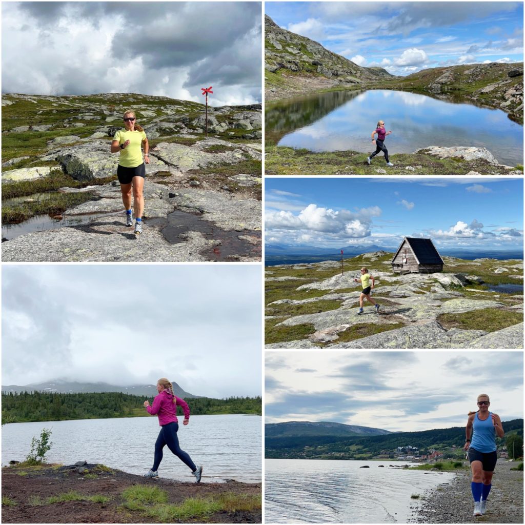 Fjällöpning