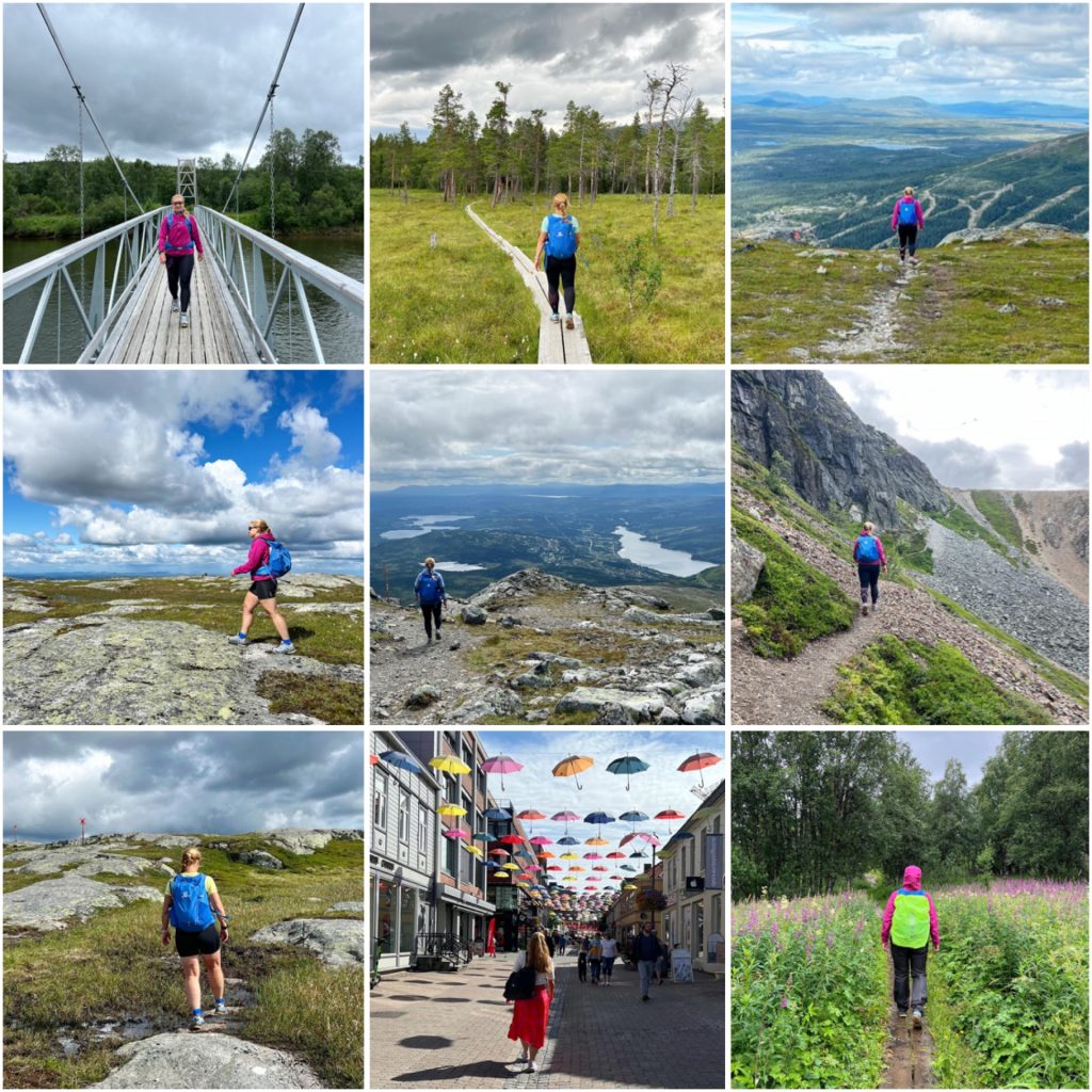 Fjällvandring