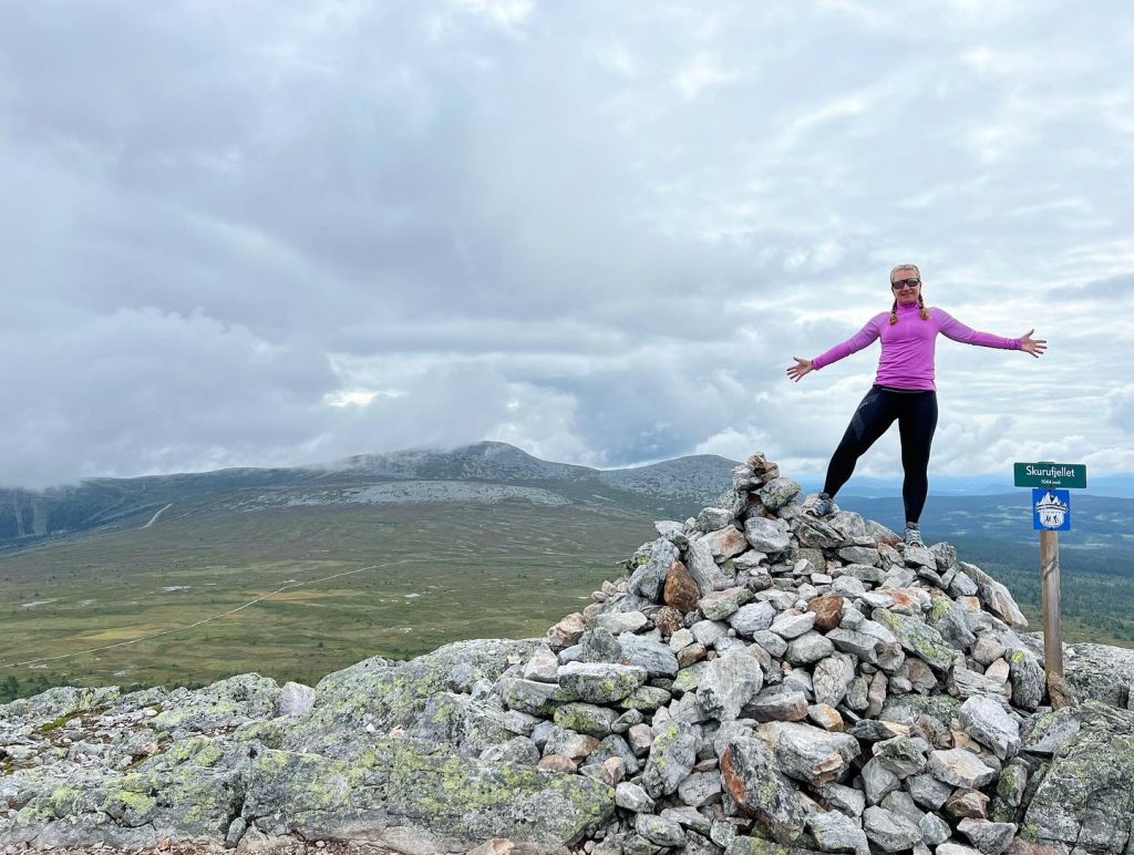 Toppen av Skurufjellet